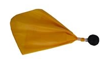 *Penalty Flags